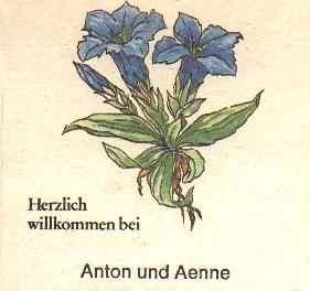 1979_80-Bierd 1.jpg